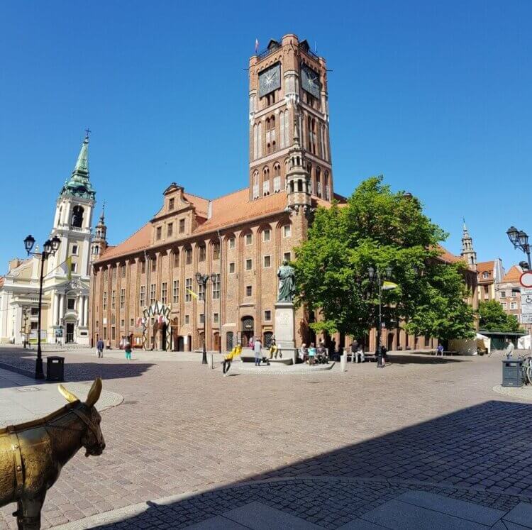 Widok na ratusz Staromiejski w Toruniu, rynek i osiołka.